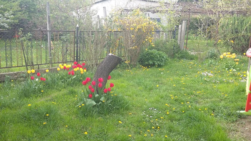 Alom Kucko Apartman Zalaegerszeg Buitenkant foto